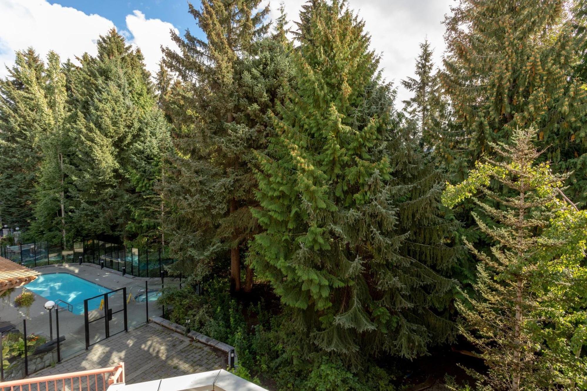 Alpenglow Lodge Bear Wonder One Bedroom By Mva Whistler Exteriör bild